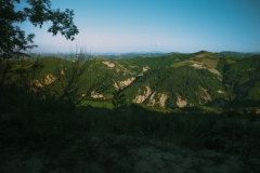 DSCF5033