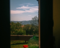 DSCF4402