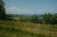 DSCF4439
