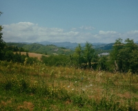 DSCF4439
