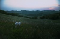 DSCF5402