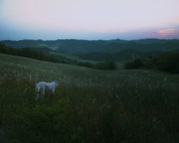 DSCF5402