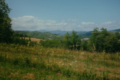 DSCF4439