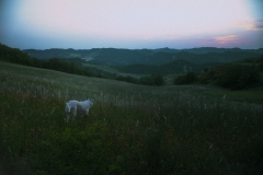 DSCF5402