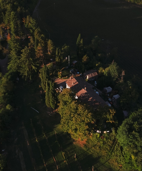 DCIM/101MEDIA/DJI_0207.JPG