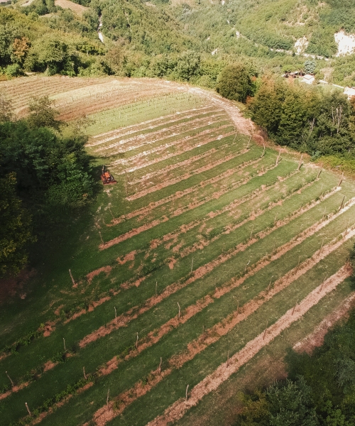 DCIM/101MEDIA/DJI_0178.JPG