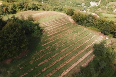 DCIM/101MEDIA/DJI_0178.JPG