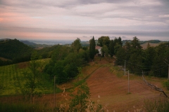 DSCF6642