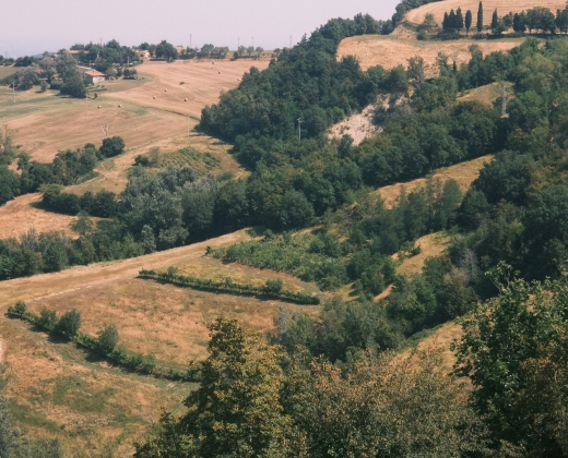 DSCF1025